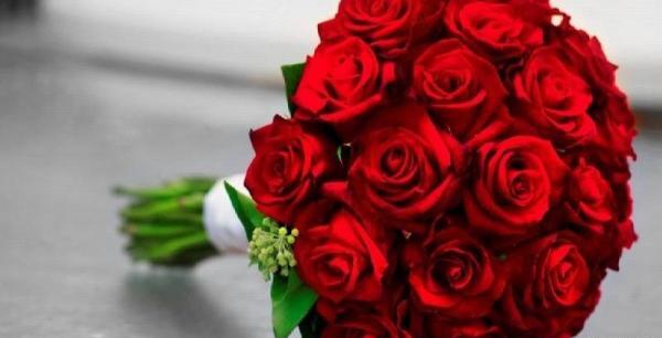 عکس گل قشنگ قرمز
