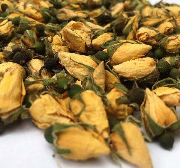 عکس گل نسترن بنفش