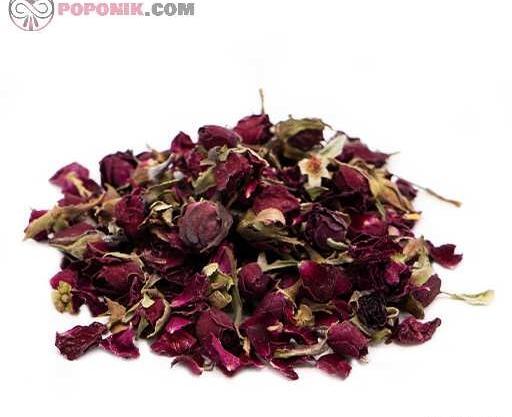 عکس گل نسترن بنفش