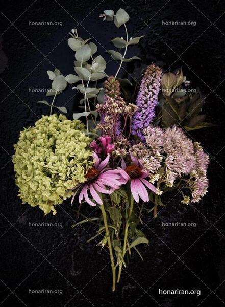 عکس گل های ارغوانی
