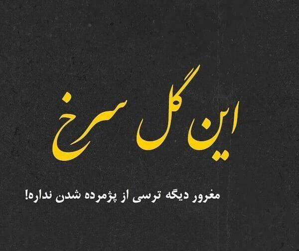 عکس پروفایل گل سیاه پژمرده