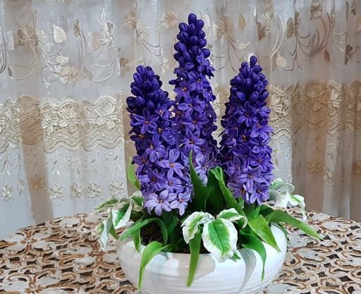 عکس گل سنبل تکه