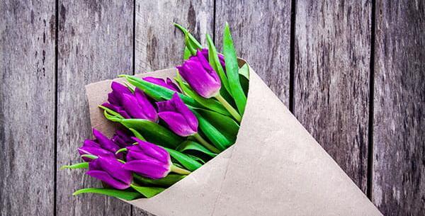 عکس گل شیپوری بنفش