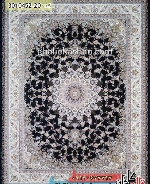 عکس طاووس سیاه در کاشان