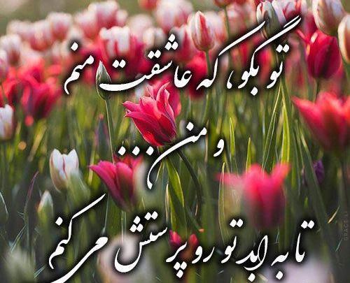 عکس گل قشنگ زیبا