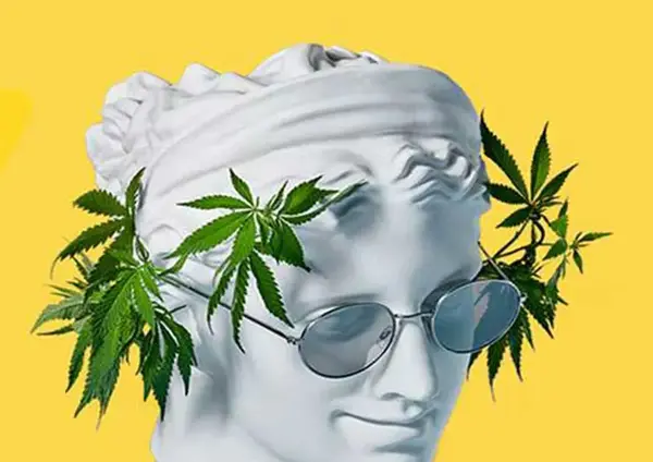 عکس گل و حشیش