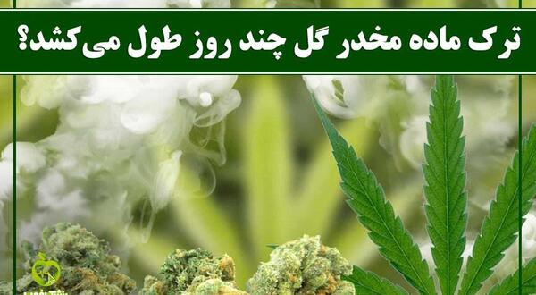 عکس گل و حشیش