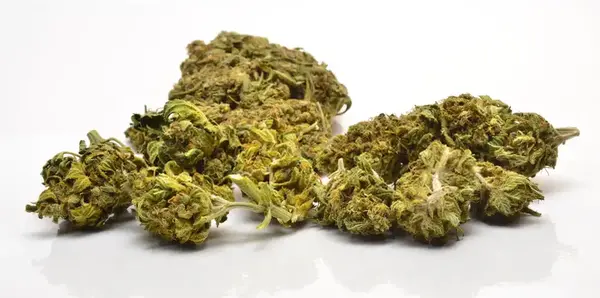 عکس گل و حشیش