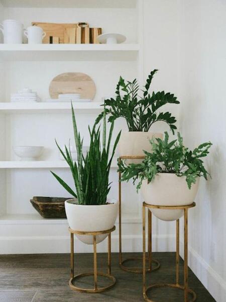عکس گل طبیعی برای خانه