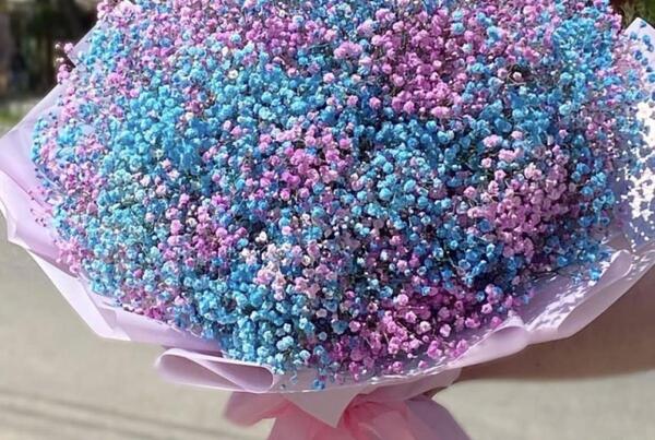 عکس گل ژیپسوفیلا و رز