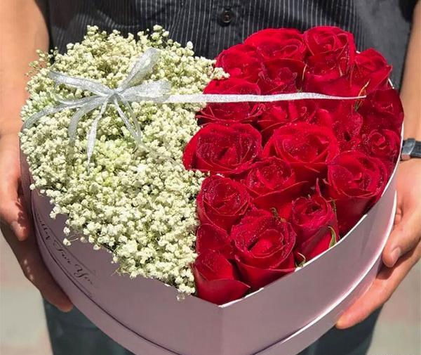 عکس گل ژیپسوفیلا و رز