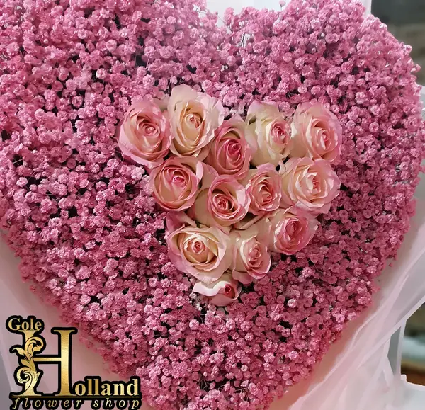 عکس گل ژیپسوفیلا و رز