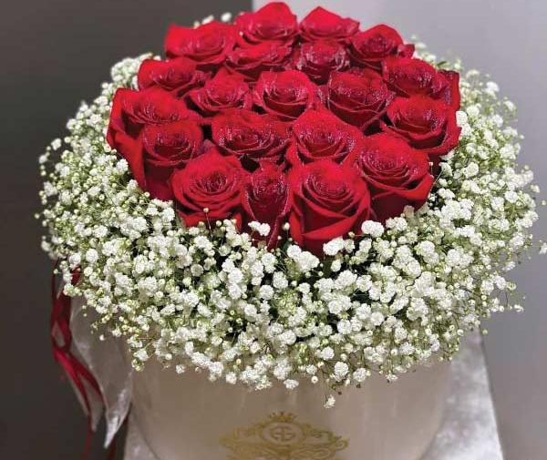 عکس گل ژیپسوفیلا و رز