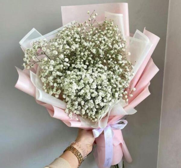 عکس گل ژیپسوفیلا و رز