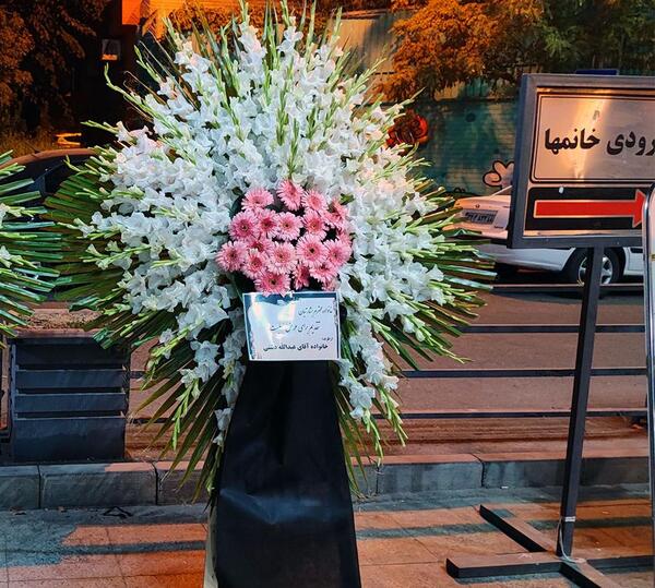 عکس گل گلایل سفید