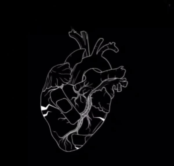 عکس سیاه قلب واقعی
