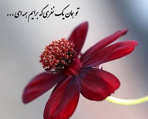 دانلود عکس پروفایل عاشقانه خدایی