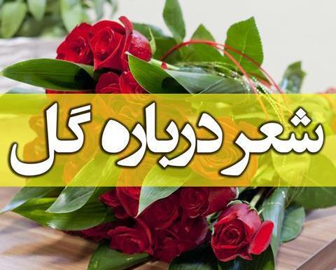 عکس های عاشقانه گل دادن