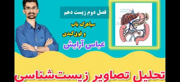عکس سیاهرگ باب زیست دهم