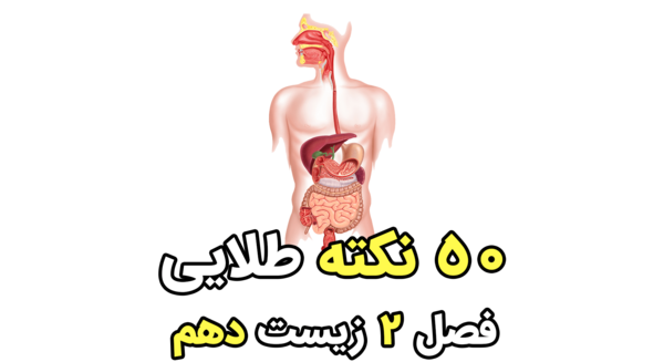 عکس سیاهرگ باب زیست دهم