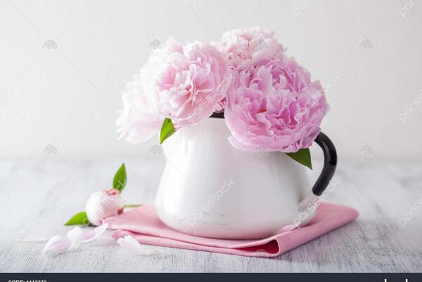 عکس گل در گلدان زیبا