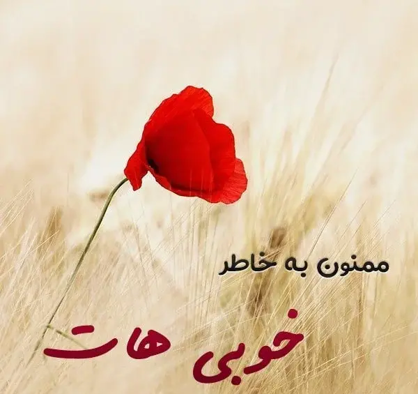 عکس عاشقانه با متن برای همسرم