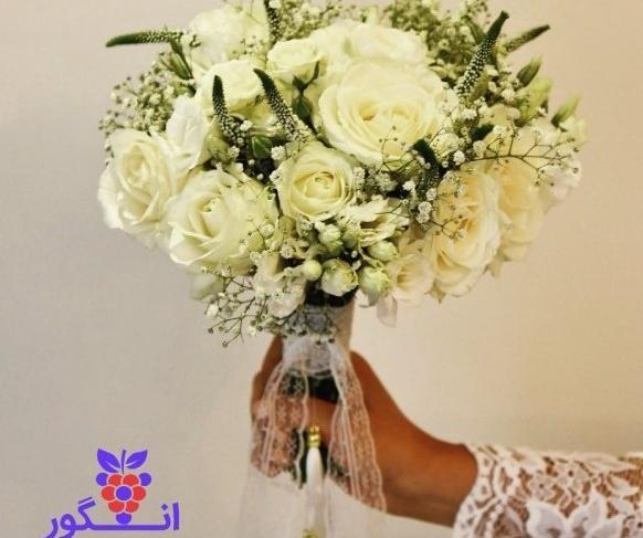 عکس گل عروس سفید