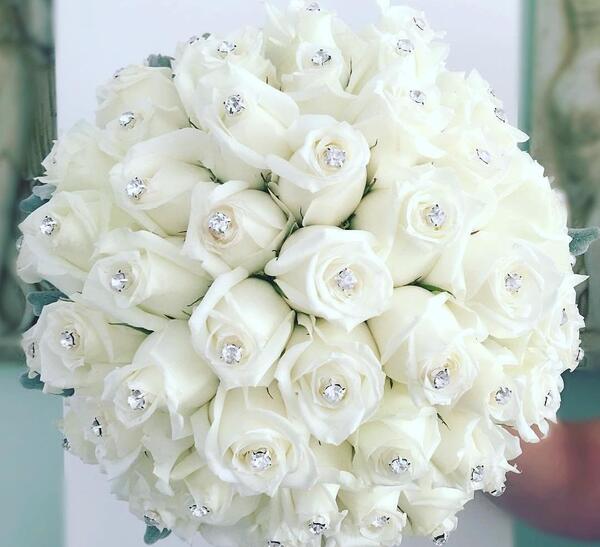 عکس گل عروس سفید
