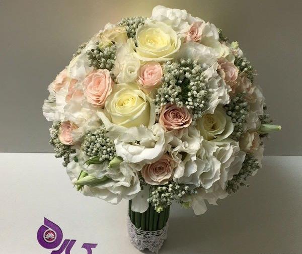 عکس گل عروس سفید