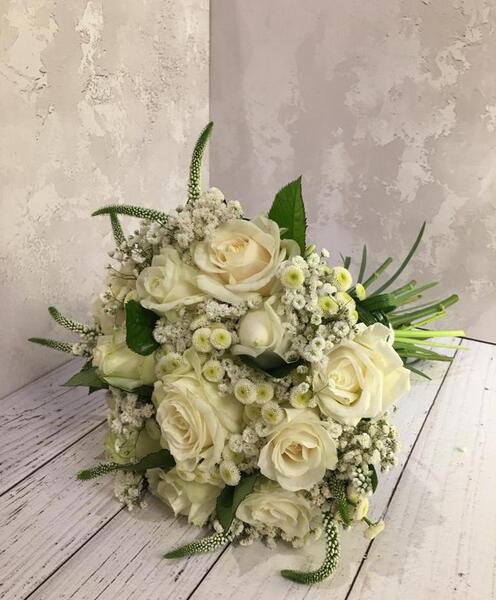 عکس گل عروس سفید