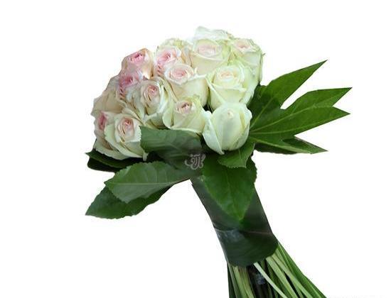 عکس گل عروس سفید