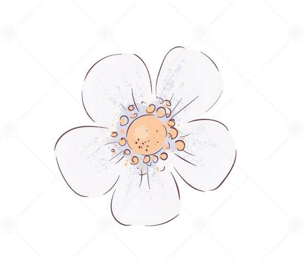عکس گل کارتونی ساده