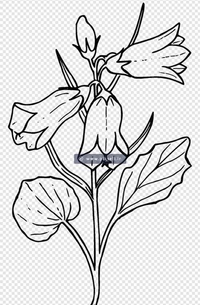 عکس گل کارتونی ساده