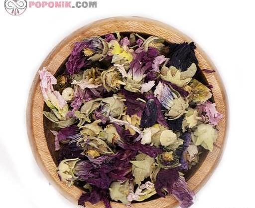 عکس گل ختمی کوهی