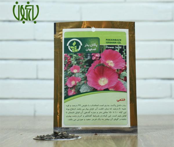 عکس گل ختمی کوهی
