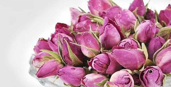 عکس غنچه گل سرخ