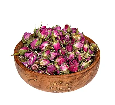 عکس غنچه گل سرخ