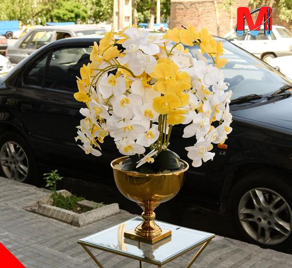 عکس گل ارکیده در گلدان