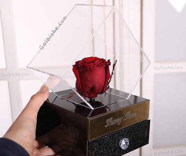 عکس گل جاودانه
