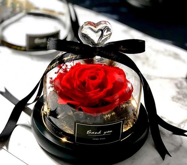عکس گل جاودانه