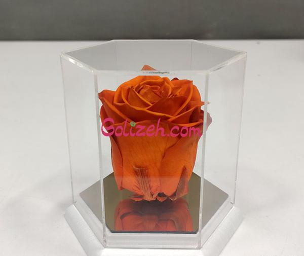 عکس گل جاودانه