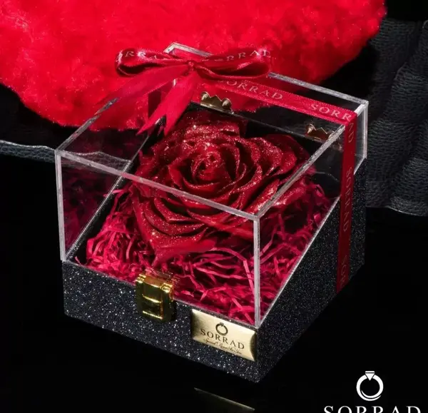 عکس گل جاودانه