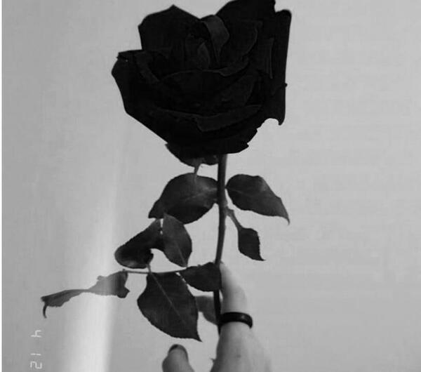 عکس سیاه دخترونه برای پس زمینه
