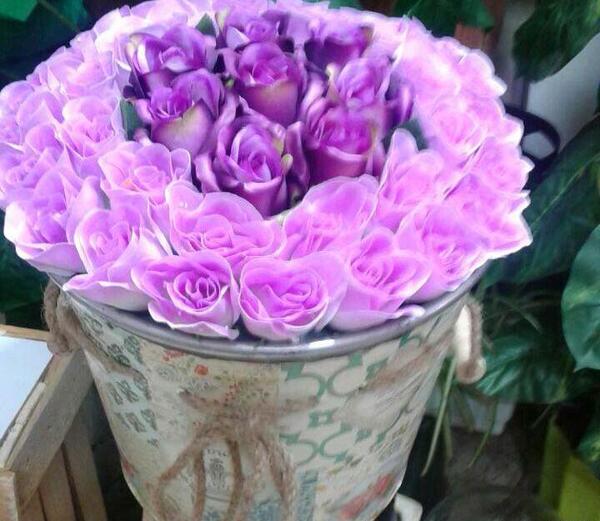 عکس گل بنفش فانتزی