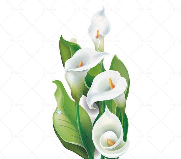 عکس گل شیپوری کارتونی