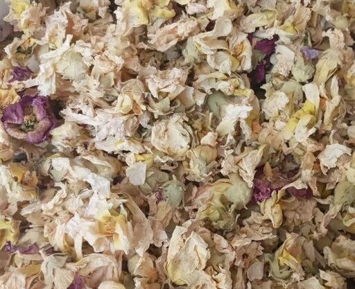 عکس گل ختمی تازه