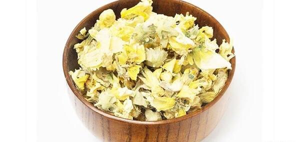 عکس گل ختمی تازه