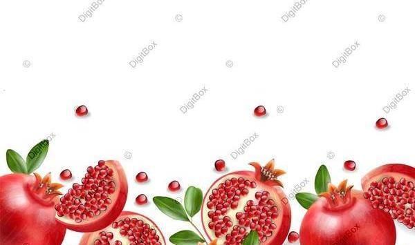 دانلود عکس گل انار