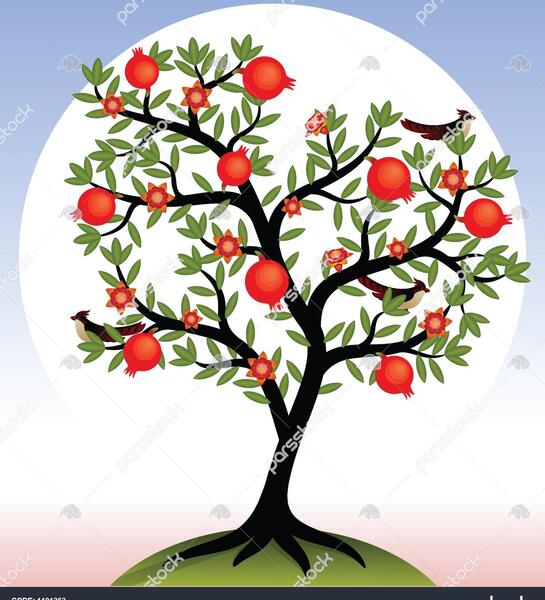 دانلود عکس گل انار