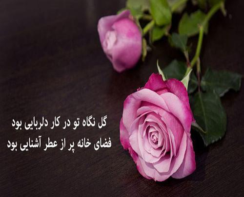 پروفایل عکس گل و پرنده های زیبا